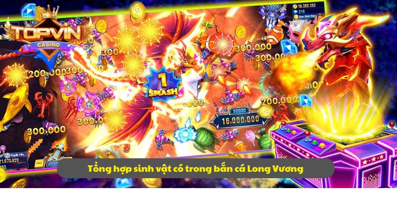 Tổng hợp sinh vật có trong bắn cá Long Vương